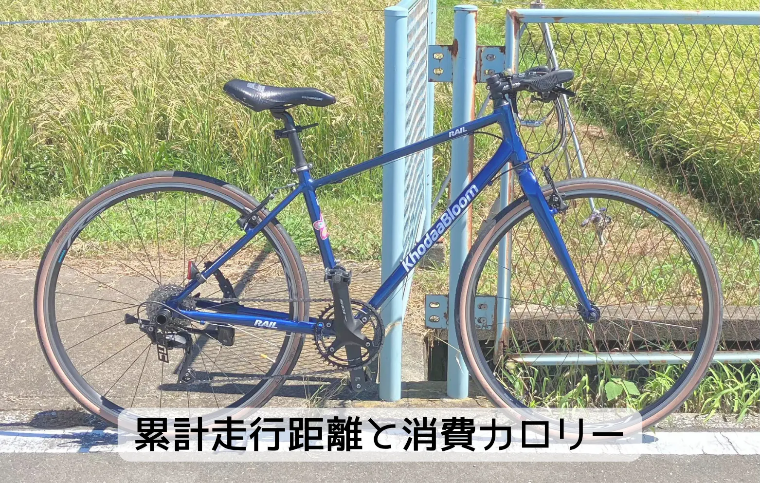RAIL ACTIVE 2021