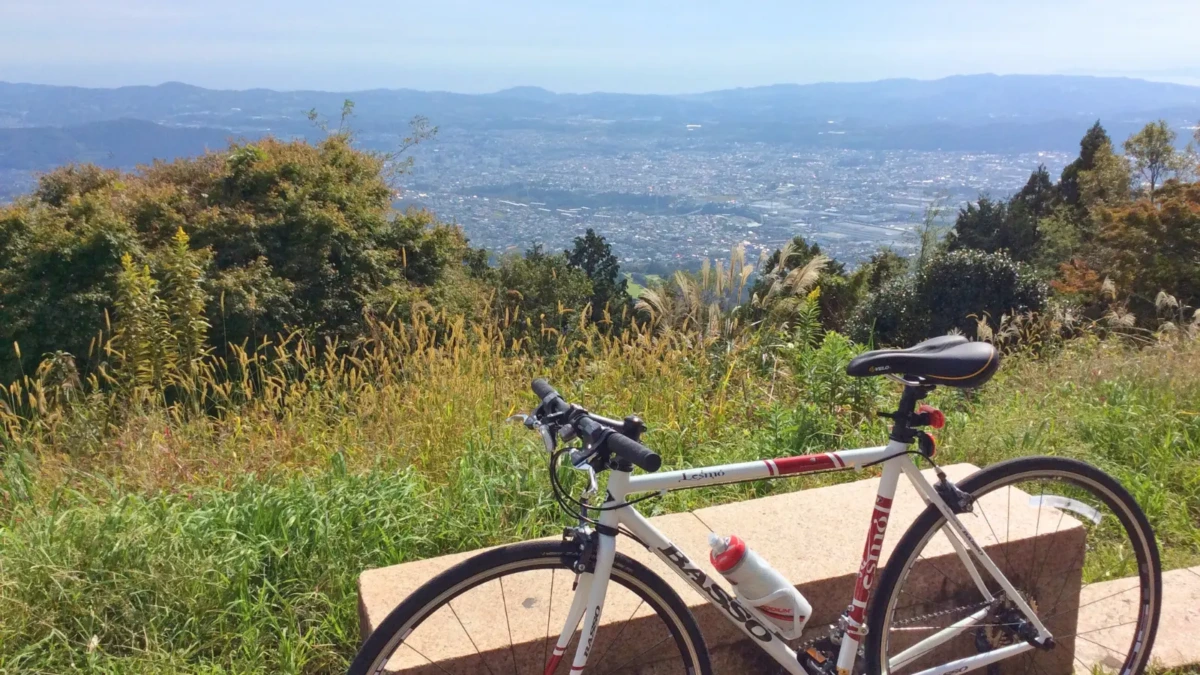 ヤビツ峠の菜の花台