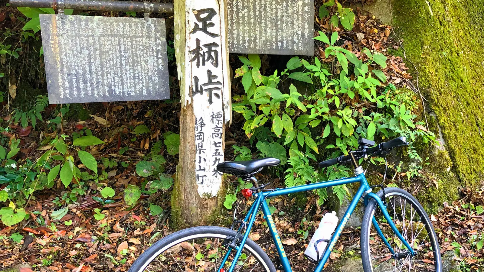 足柄峠の看板とクロスバイク