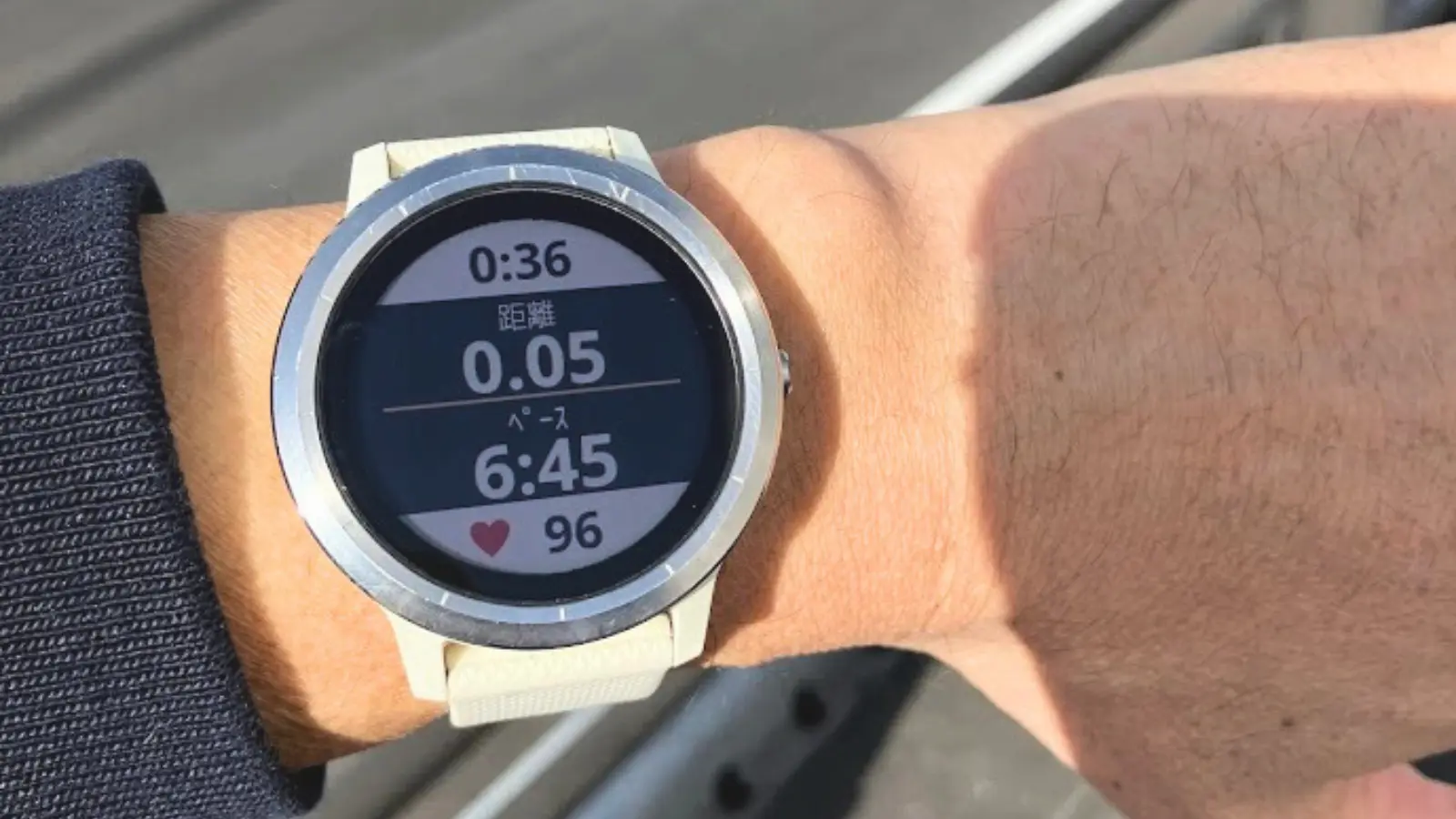 Garmin Vivoactive3
