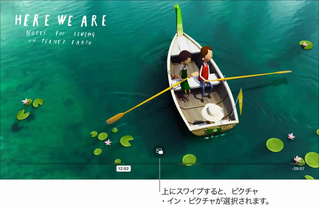 PinPボタンを説明する画像