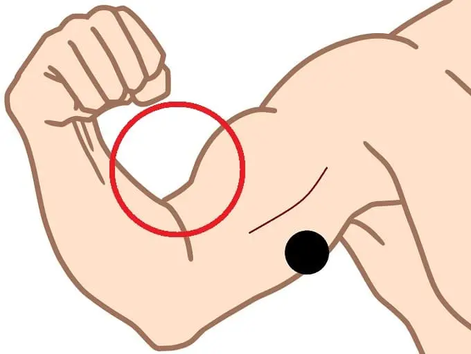 心拍センサーの位置を示す画像