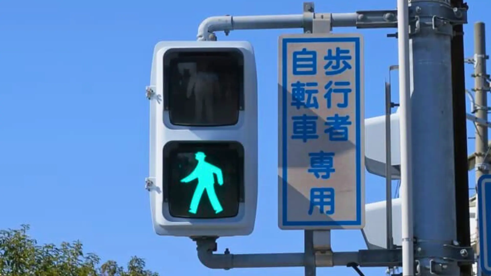 歩行者自転車専用信号