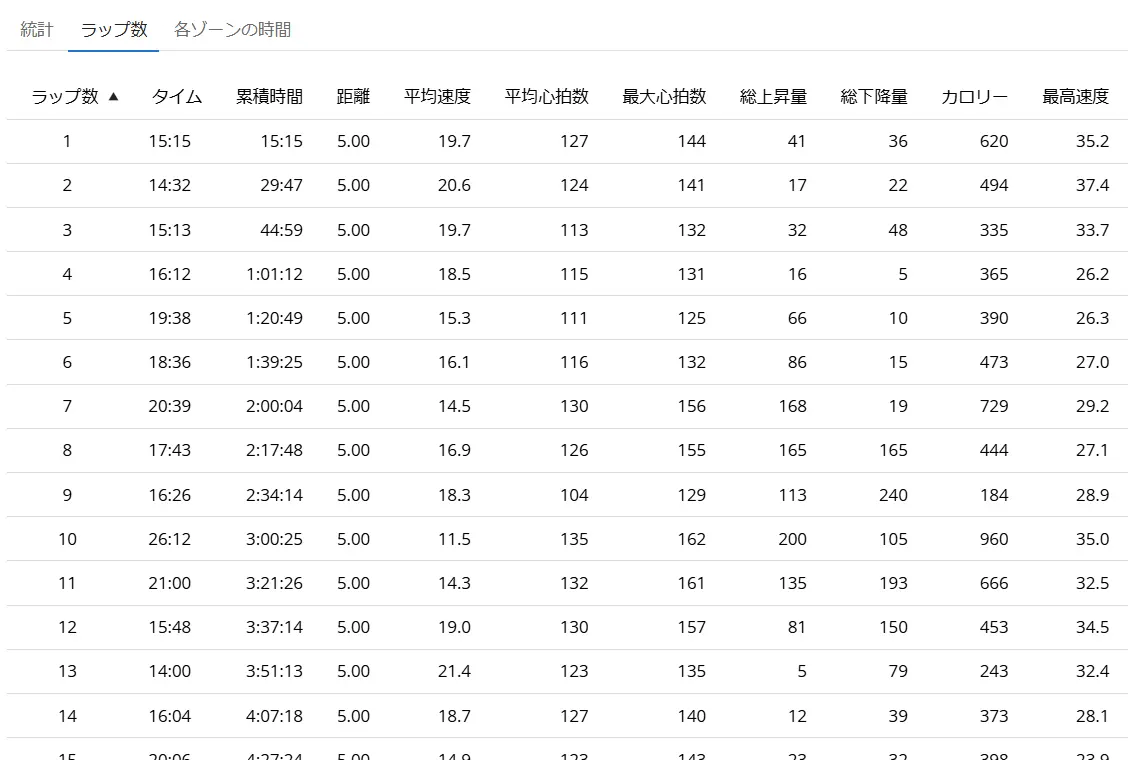 Garminコネクトのラップ画像